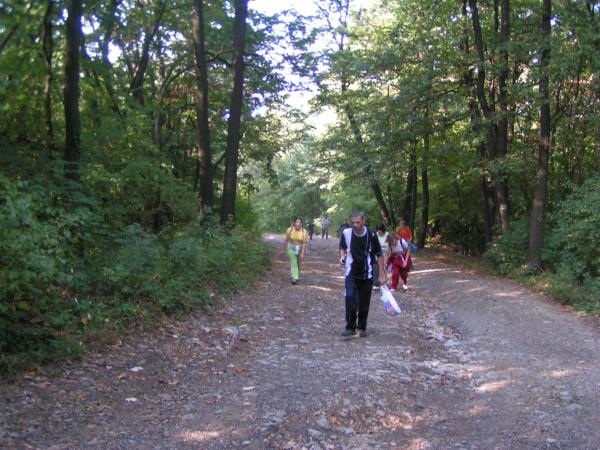 pict4727 (web)